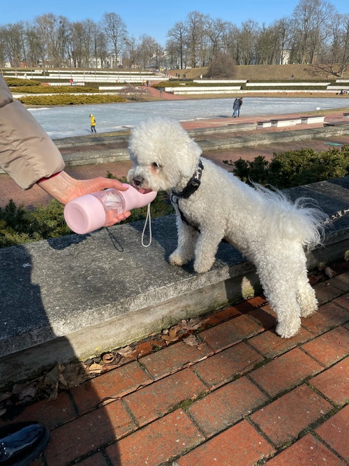 HydraPaw™ Portable 2-in-1 Pet Food & Water Bottle