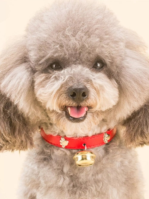 LuxePaws™ Leather Pet Collar with Bell